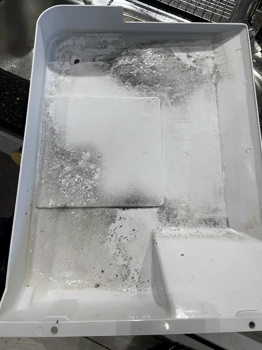세척 전